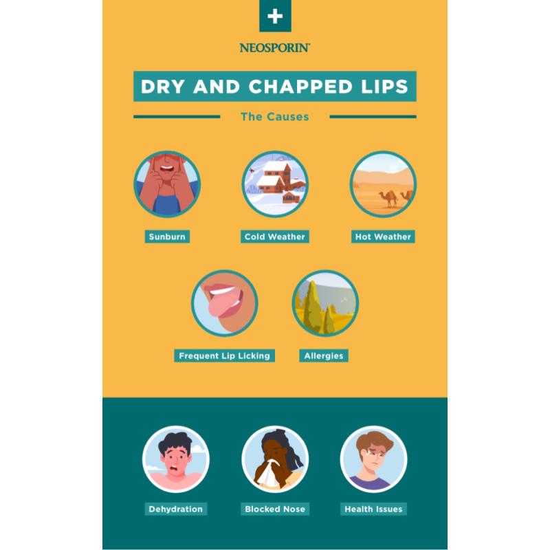 Top 10 Best Lipsticks for Dry Lips in Malaysia 2025 1 lips