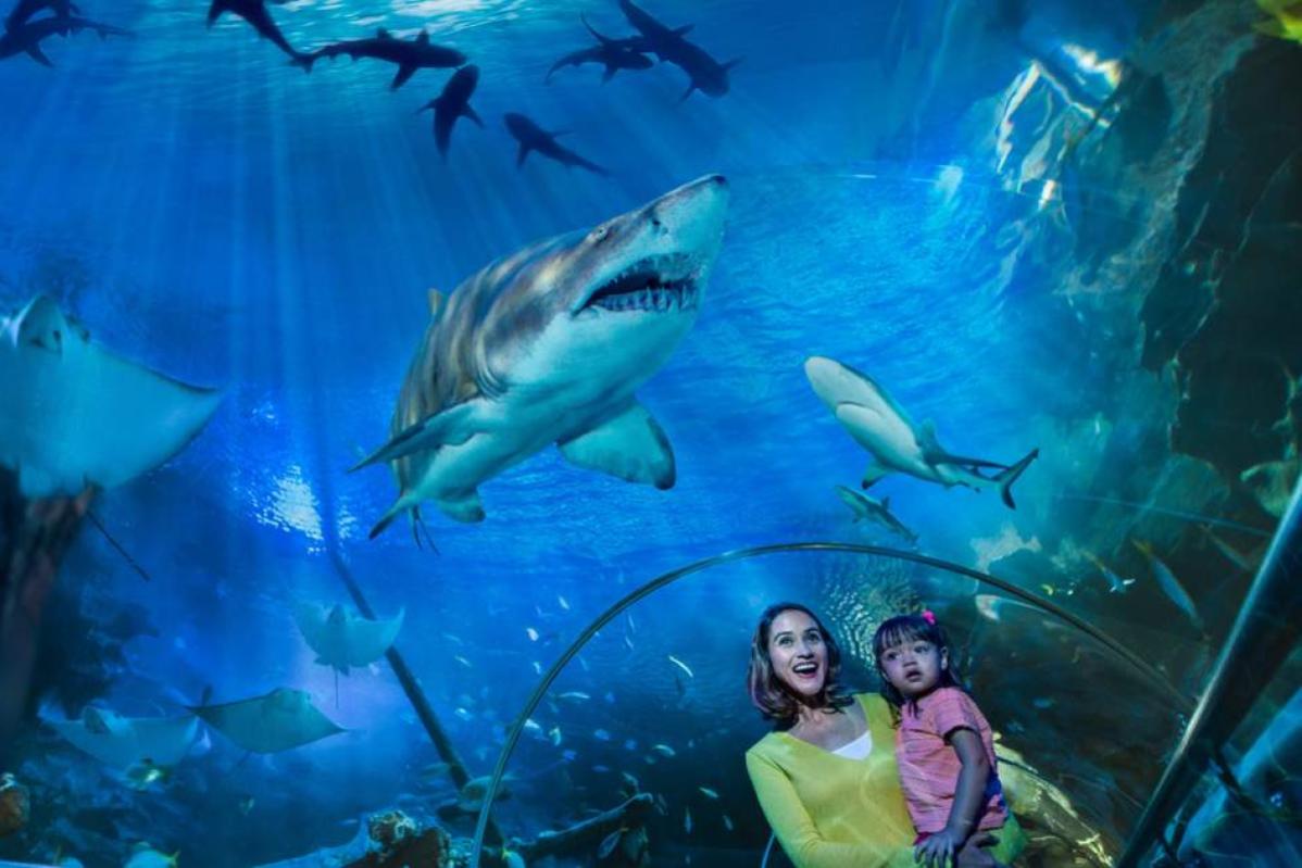 Top 10 Best Budget Weekend Getaways Below RM150 in KL 2025 21 Aquaria KLCC 3