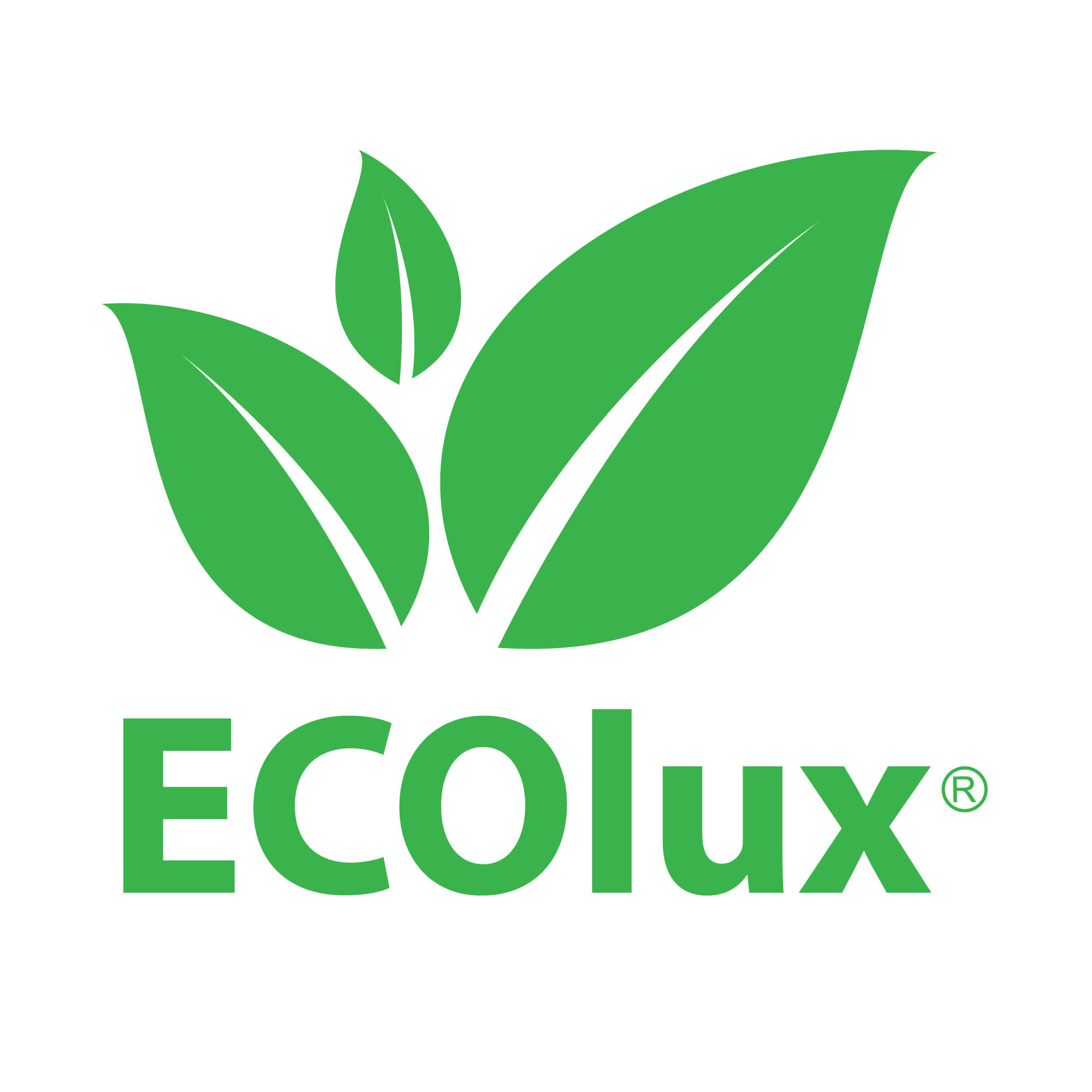 Top 10 Best Malaysia Mattress Brands 2025 14 ECOlux Malaysia Logo