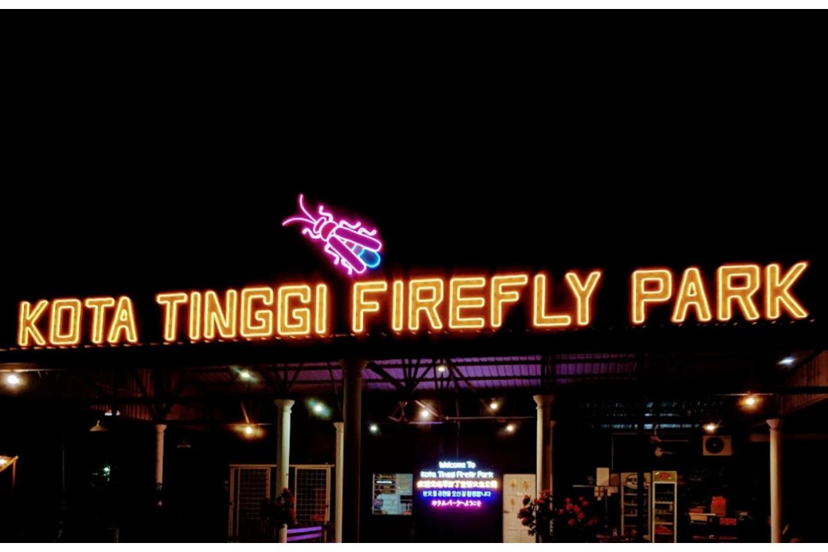 10 Tempat Terbaik Untuk Sambutan Ulang Tahun di Johor 2025 9 Kota-Tinggi-Firefly-Park