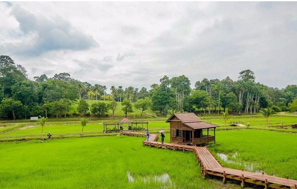 Top 10 Best Budget Weekend Getaways Below RM150 in Selangor 2026 10 National Botanic Gardens Shah Alam e1734927583691