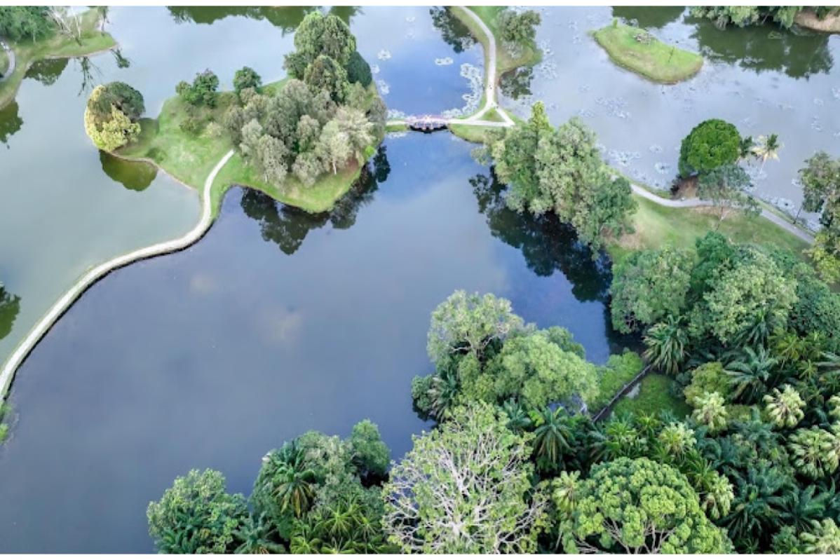 Top 10 Best Food in Taiping 2024 Food Hunting