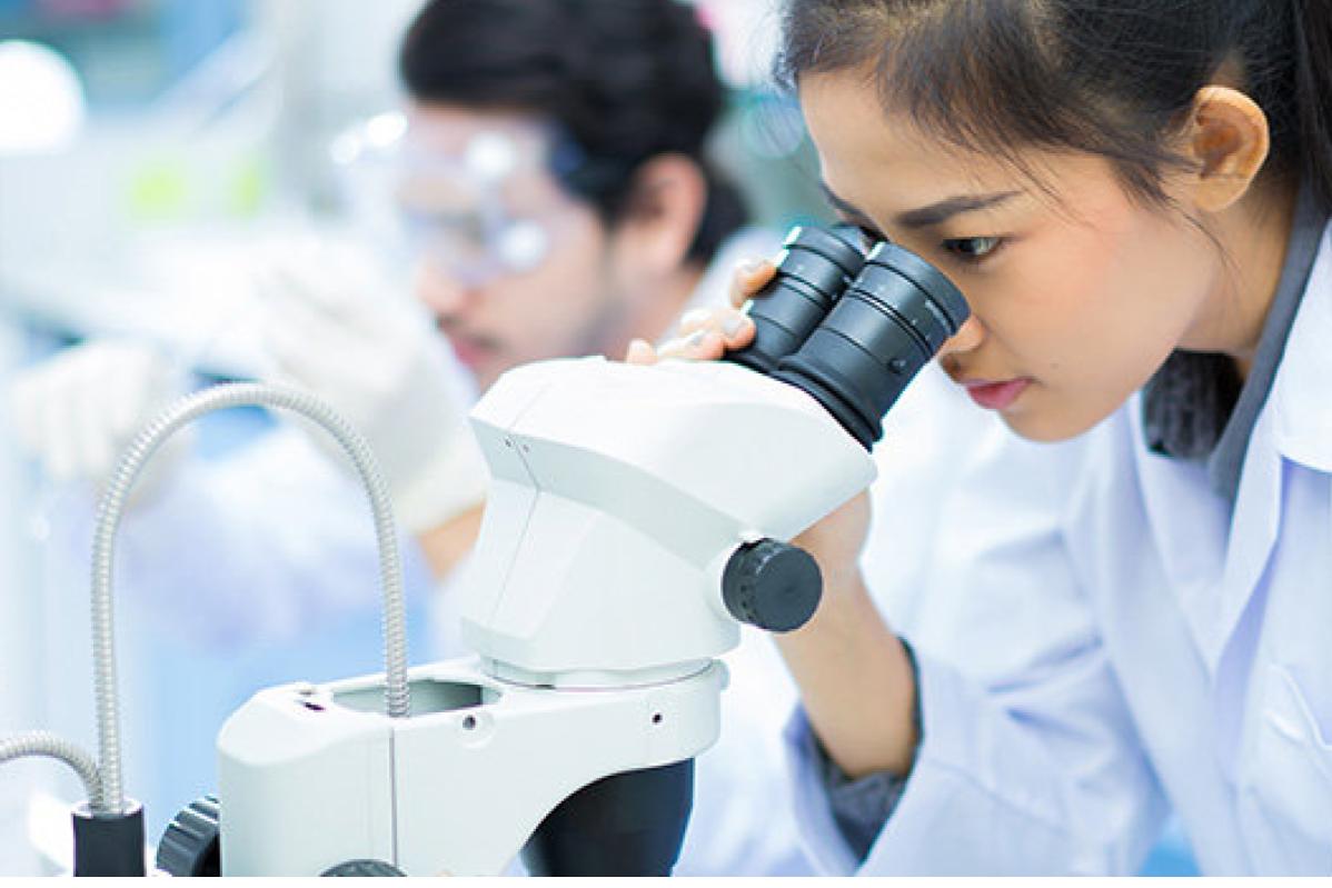 Top 10 Best Study Abroad Programs In Malaysia 2025 12 Student Exchange Young Leader Program 1