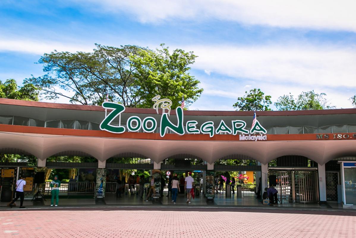 Top 10 Best Budget Weekend Getaways Below RM150 in KL 2025 4 Zoo Negara