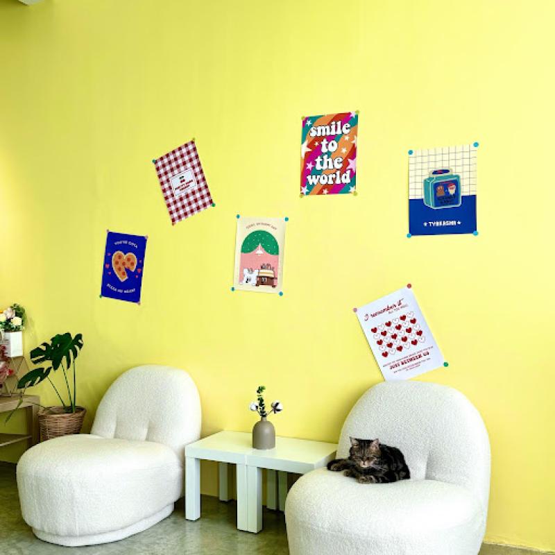 Top 20 Best Cat Cafes in Malaysia 2025 10 ByMood Cat Cafe