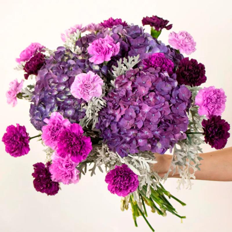 Top 10 Best Flowers for Teacher Days Malaysia 2025 9 Carnations 1