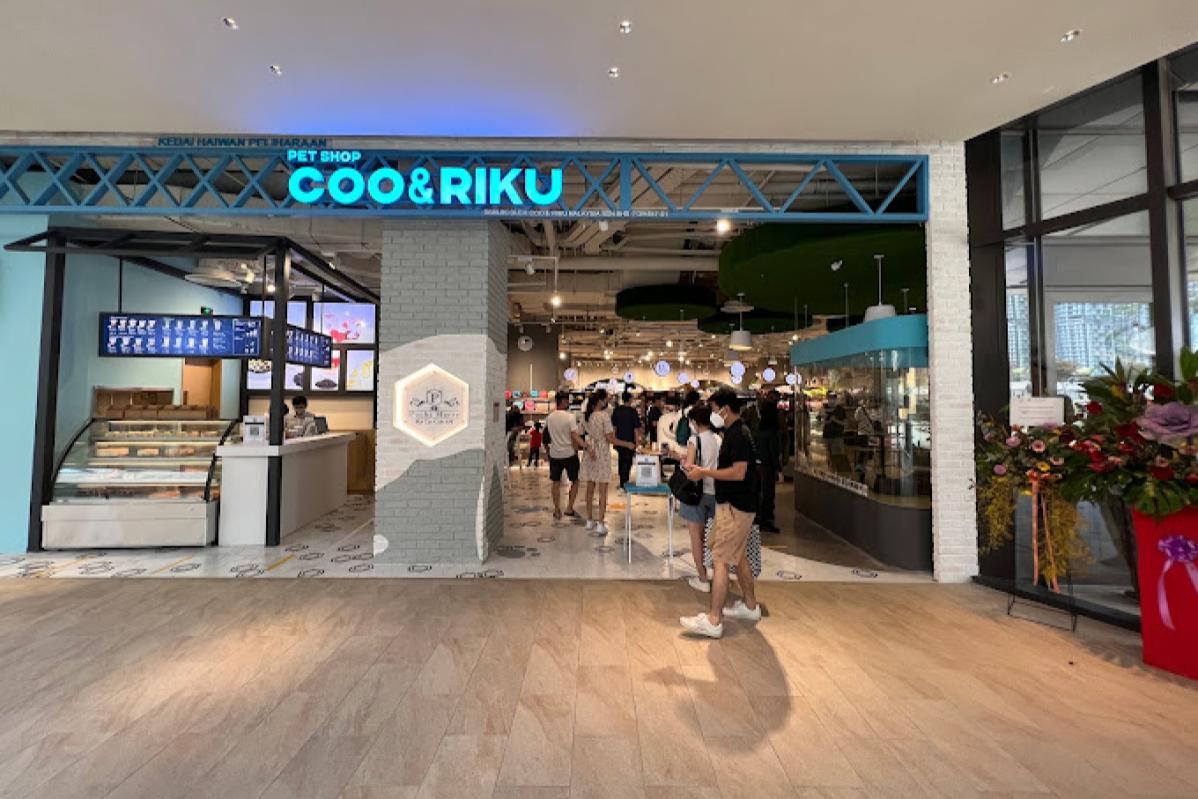 Top 20 Best Cat Cafes in Malaysia 2025 2 Coo Riku