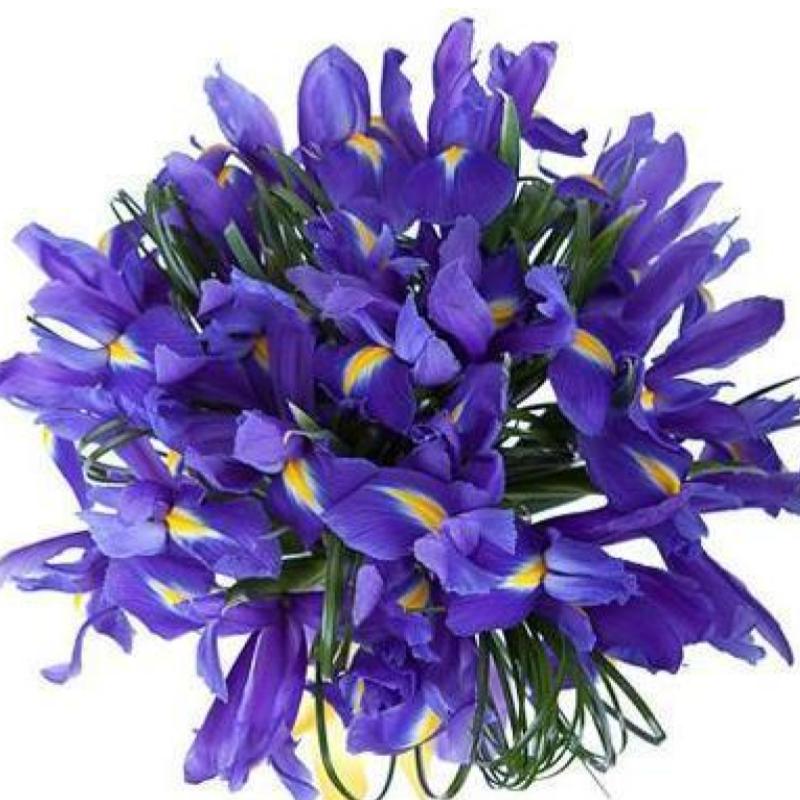Top 10 Best Mother's Day Flowers to Buy in Malaysia 2024 11 Irises 1
