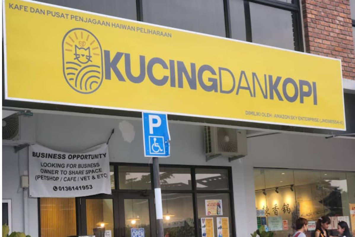 Top 20 Best Cat Cafes in Malaysia 2025 17 KUCINGDANKOPI