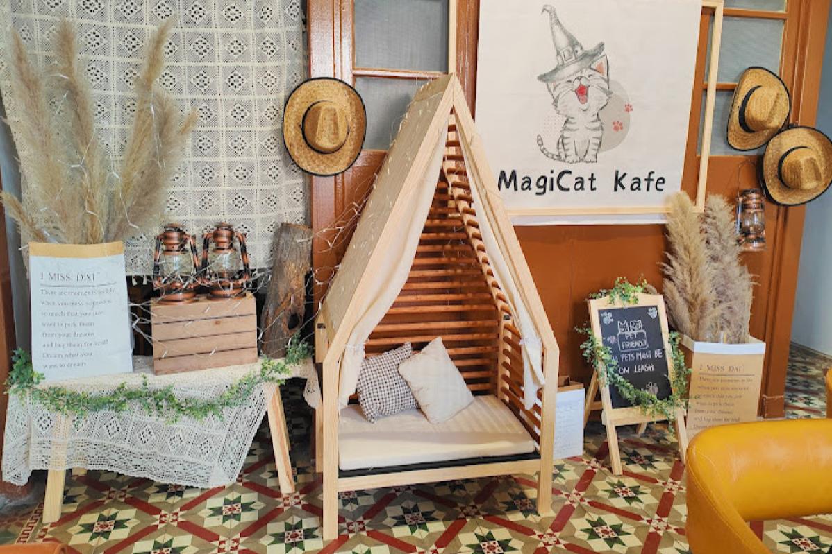 Top 20 Best Cat Cafes in Malaysia 2025 16 MagiCat Cafe 2