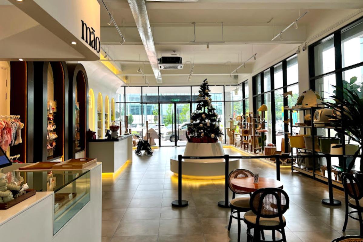 Top 20 Best Cat Cafes in Malaysia 2025 6 Mao Catfe