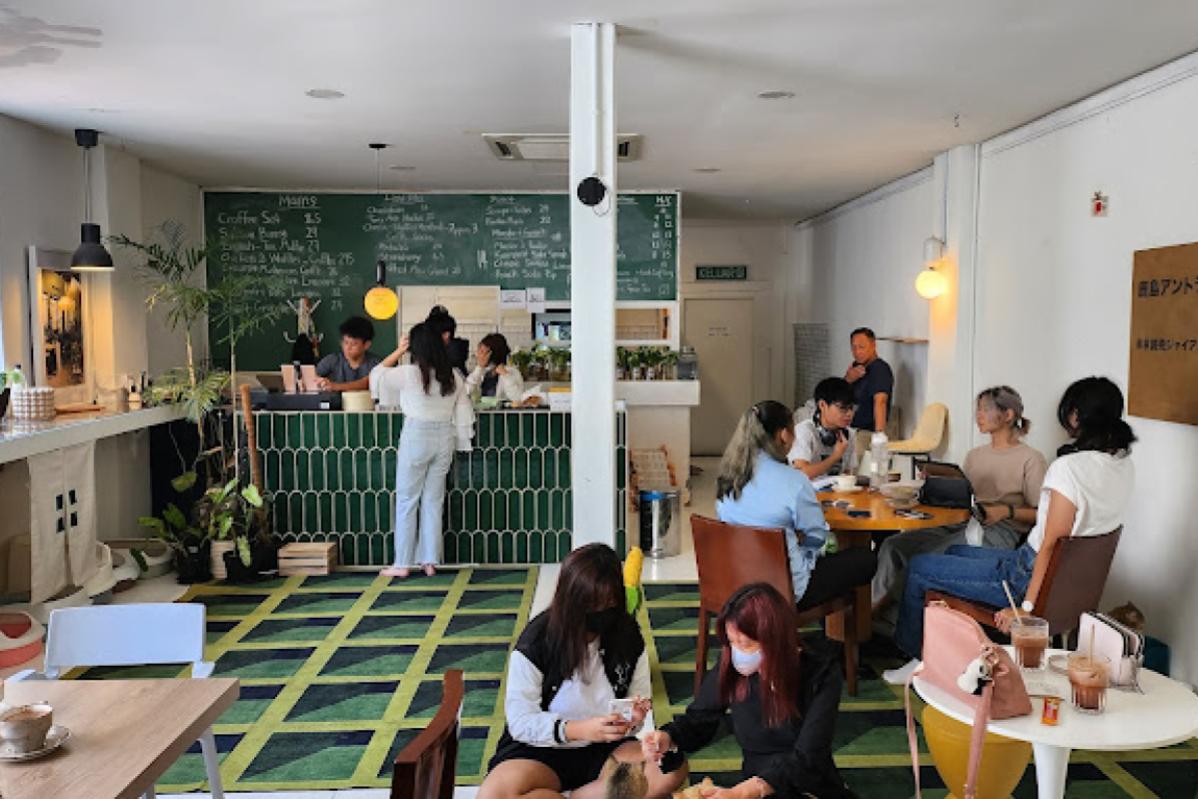 Top 20 Best Cat Cafes in Malaysia 2025 8 Monster. A Garden Cafe