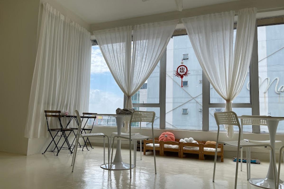 Top 20 Best Cat Cafes in Malaysia 2025 21 Ohayo Cat Cafe JB