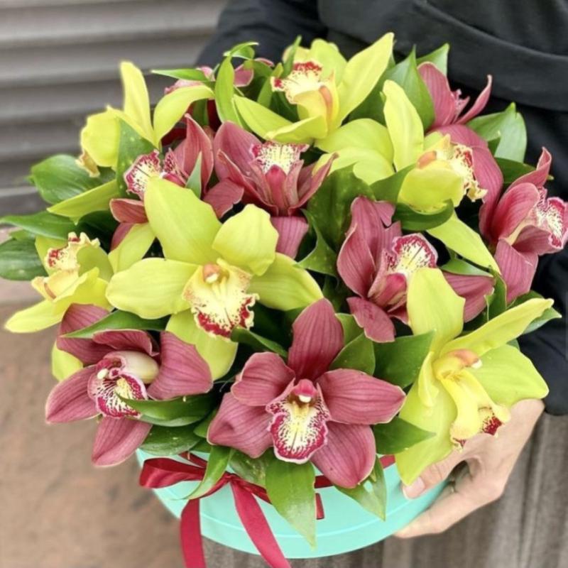 Top 10 Best Flowers for Teacher Days Malaysia 2025 3 Orchid