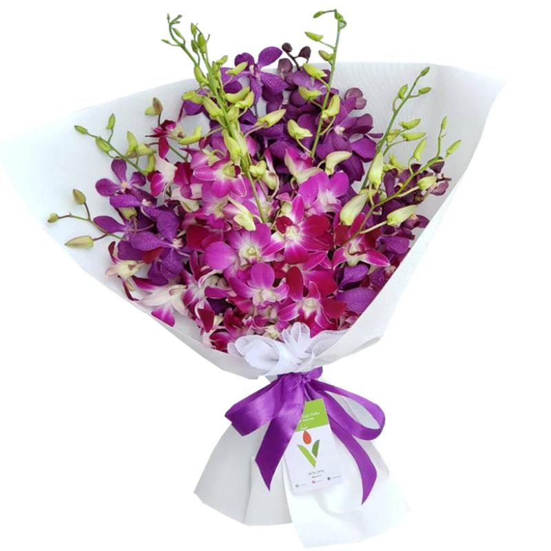 Top 10 Best Mother's Day Flowers to Buy in Malaysia 2024 6 Orchids 1