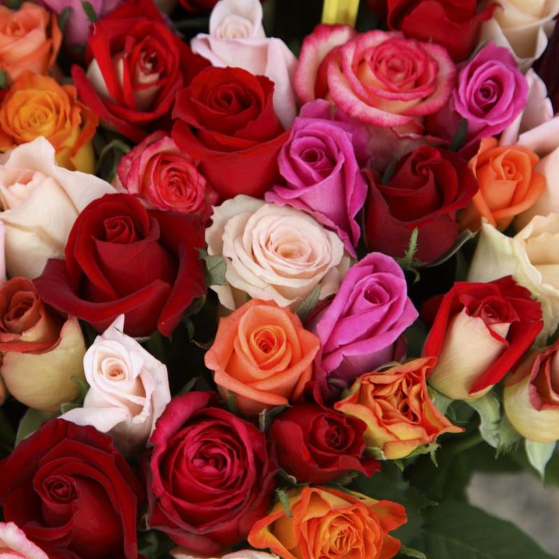 Top 10 Best Flowers for Teacher Days Malaysia 2025 5 Roses 1