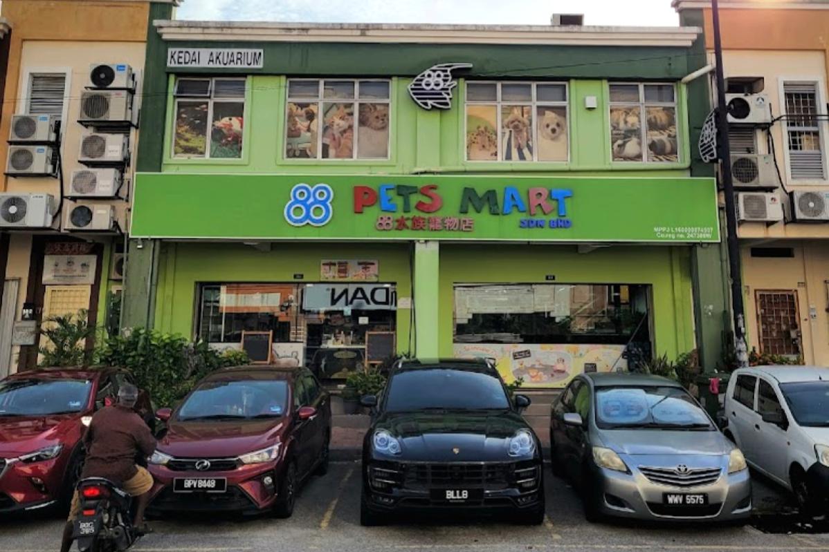 9 Pet Boarding Terbaik di KL & Selangor 2025 2 88 Pets Mart