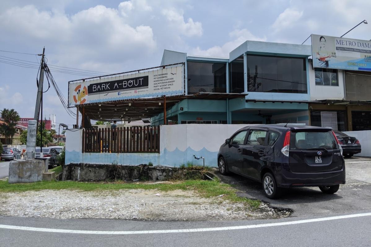 9 Pet Boarding Terbaik di KL & Selangor 2025 6 Bark A Bout Dog Social House