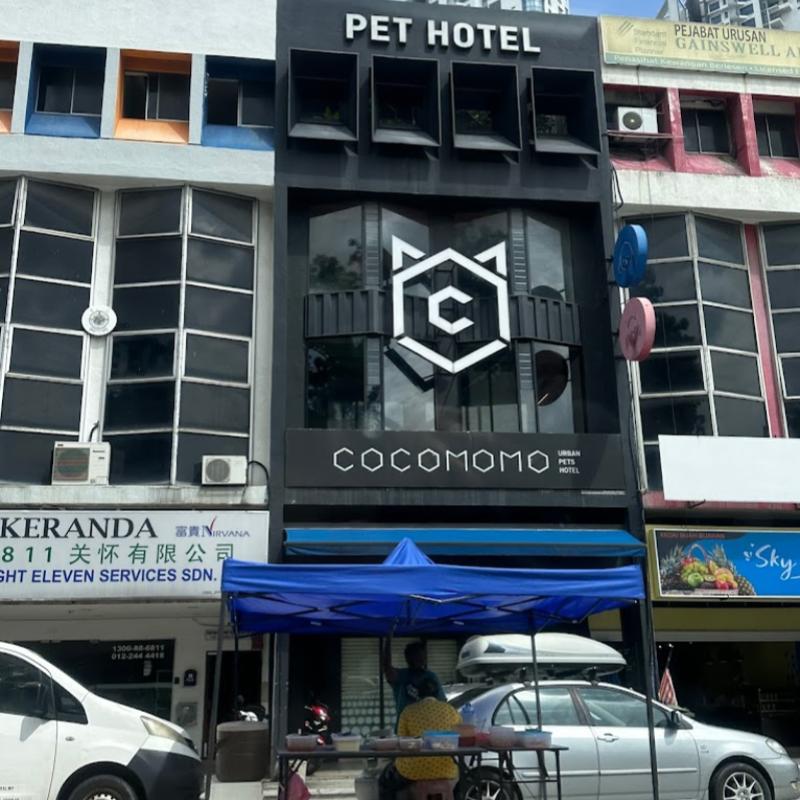 9 Pet Boarding Terbaik di KL & Selangor 2025 10 COCOMOMO Urban Pets Hotel 2