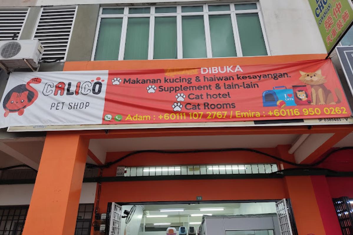 Top 10 Best Pet Boarding in Ipoh 2025 4 Calico PetShop