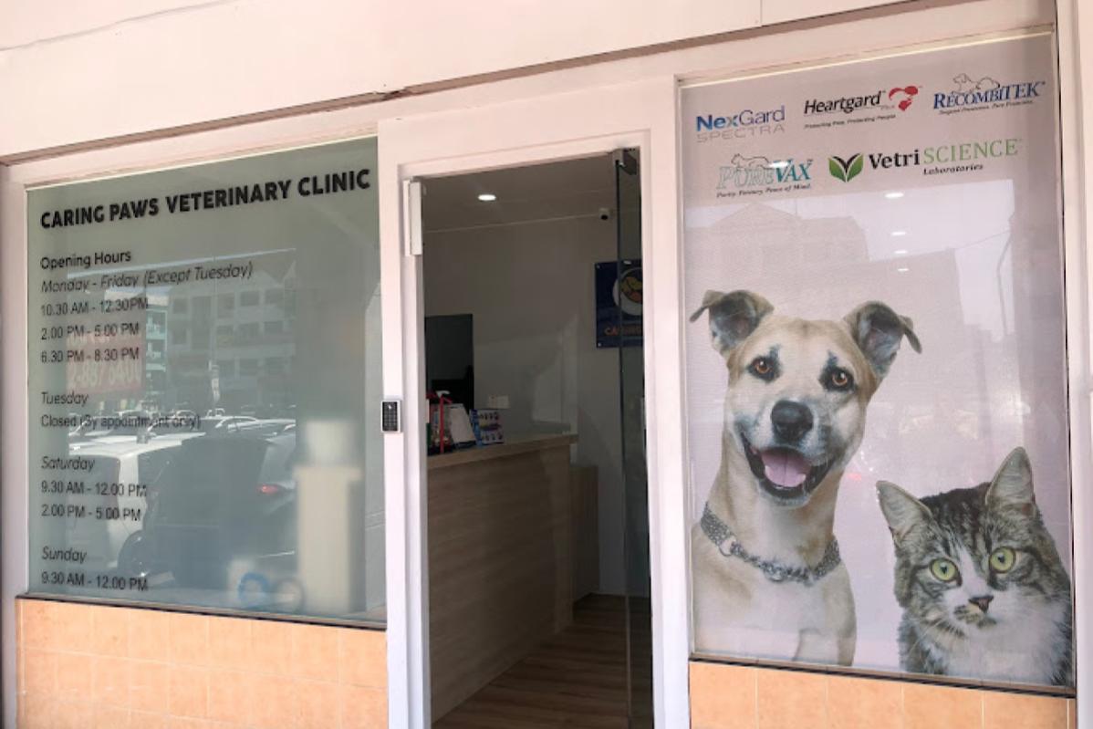 10 Klinik Haiwan Terbaik di Sarawak 2025 13 Caring Paws Veterinary Clinic