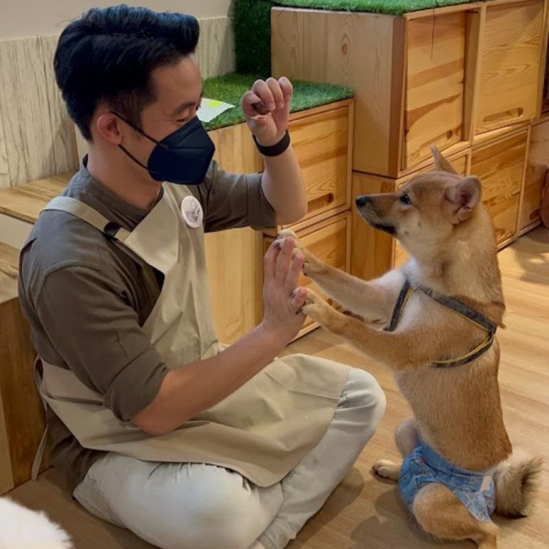 Top 20 Best Dog Cafes in Malaysia 2025 40 Cas Cas Cafe 1