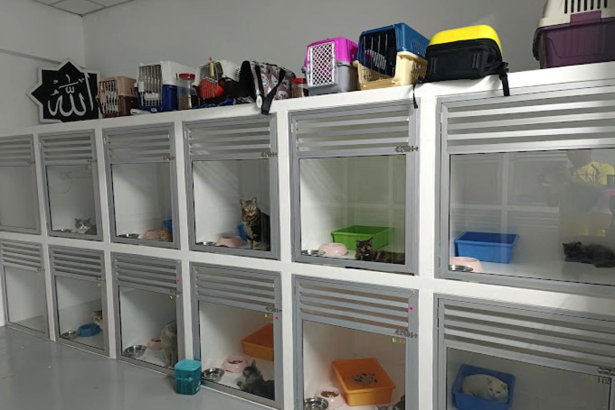 Top 10 Best Pet Boarding in Johor 2025 13 Cathopea Empire Cat Spa Grooming Hotel 1