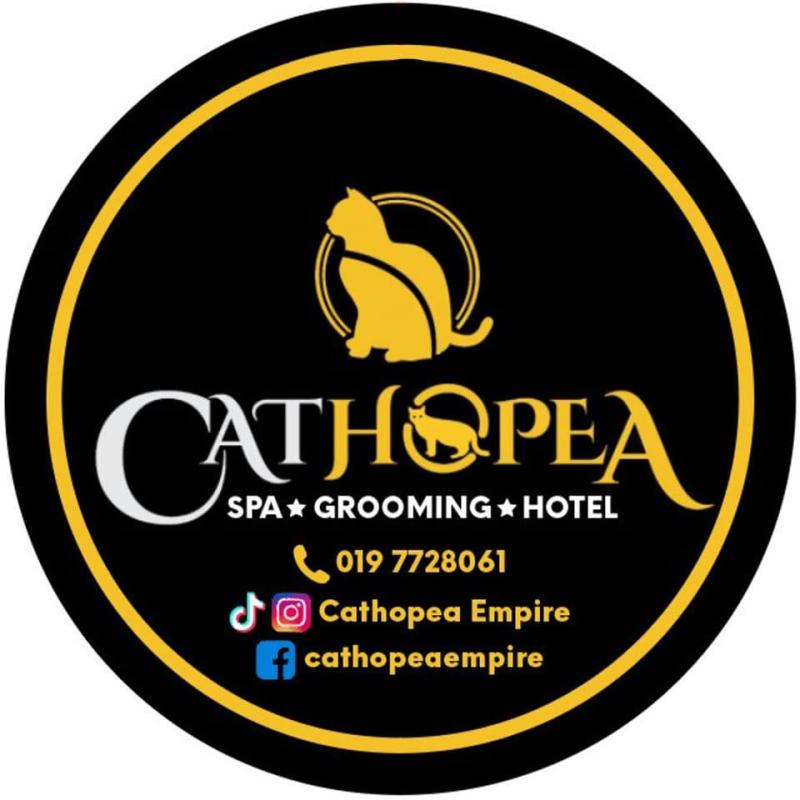 Top 10 Best Pet Boarding in Johor 2025 12 Cathopea Empire Cat Spa Grooming Hotel