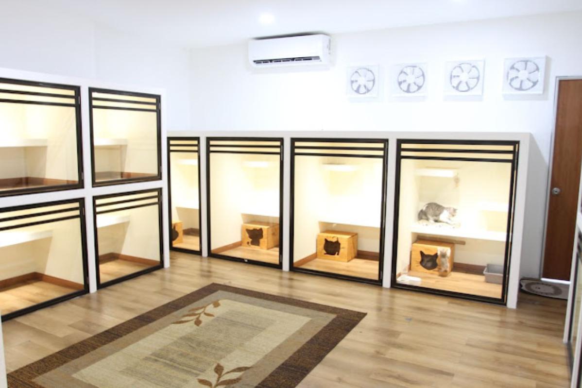 Top 10 Best Pet Boarding in Sarawak 2025 20 Catpenski Cat Grooming Hotel