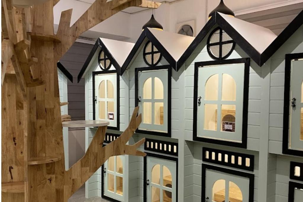 Top 10 Best Pet Boarding in Melaka 2025 7 Cats Capsule Melaka 1