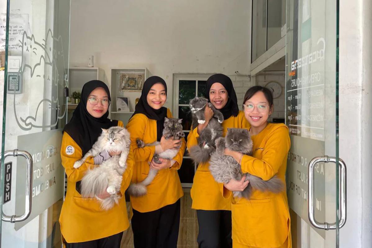 9 Pet Boarding Terbaik di KL & Selangor 2025 5 Catzonia 1