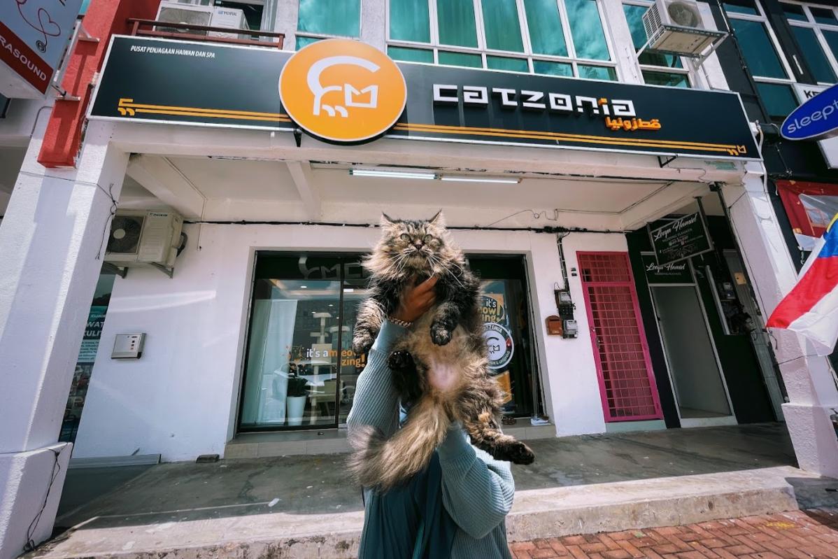 Top 10 Best Pet Boarding in Melaka 2025 2 Catzonia Cheng