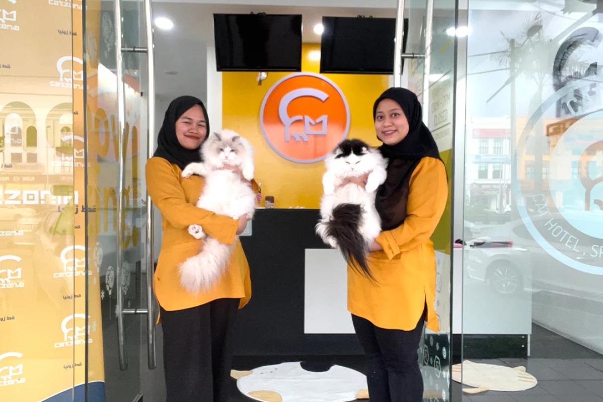 Top 10 Best Pet Boarding in Ipoh 2025 3 Catzonia Johor 1