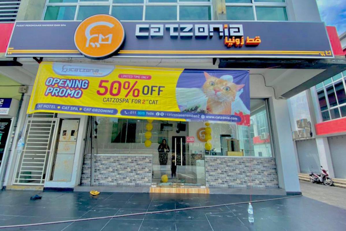 9 Pet Boarding Terbaik di KL & Selangor 2025 4 Catzonia