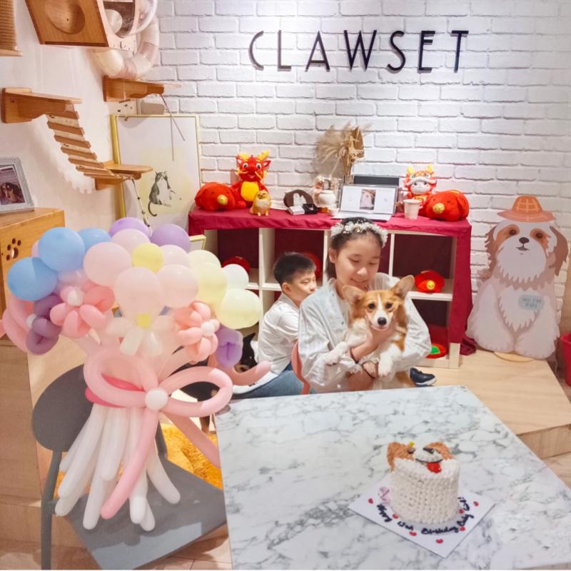 Top 20 Best Dog Cafes in Malaysia 2025 12 Clawset Pet Cafe 1