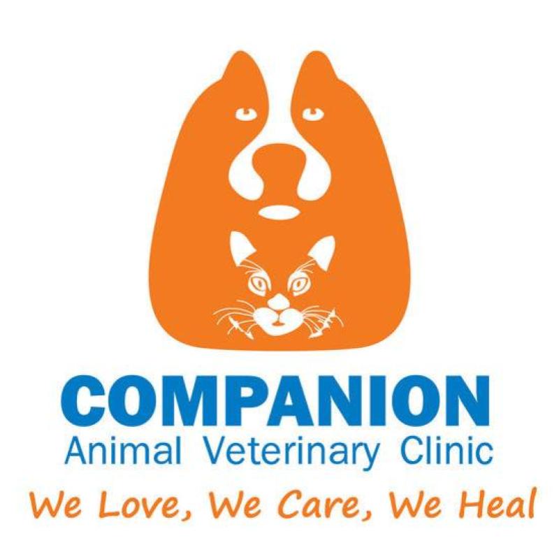 10 Klinik Haiwan Terbaik di Melaka 2025 9 Companion Veterinary Clinic