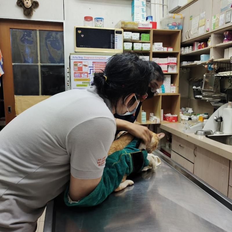 10 Klinik Haiwan Terbaik di Melaka 2025 10 Companion Veterinary Clinic 1