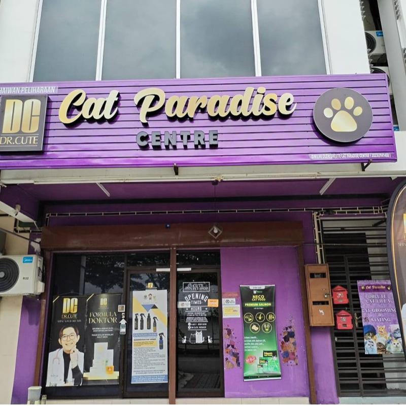 Top 10 Best Pet Boarding in Johor 2025 14 DR.CUTE CAT PARADISE CENTRE