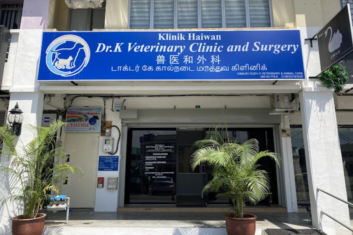 10 Klinik Haiwan Terbaik di Ipoh 2025 11 Dr K Veterinary Clinic Surgery
