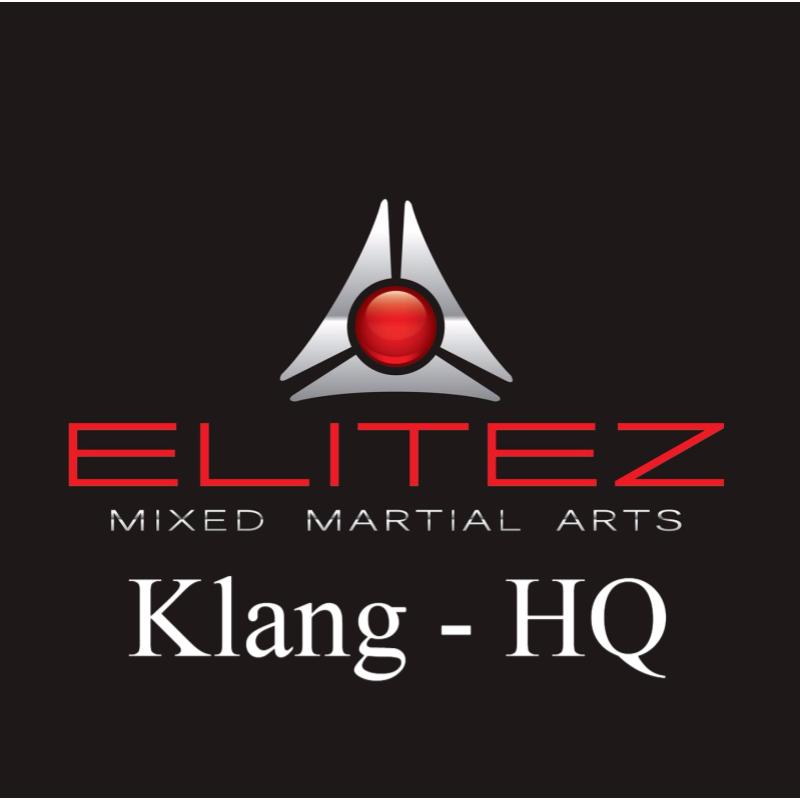 Top 20 Best MMA Gyms In Malaysia 2025 22 Elitez MMA Fitness Academy