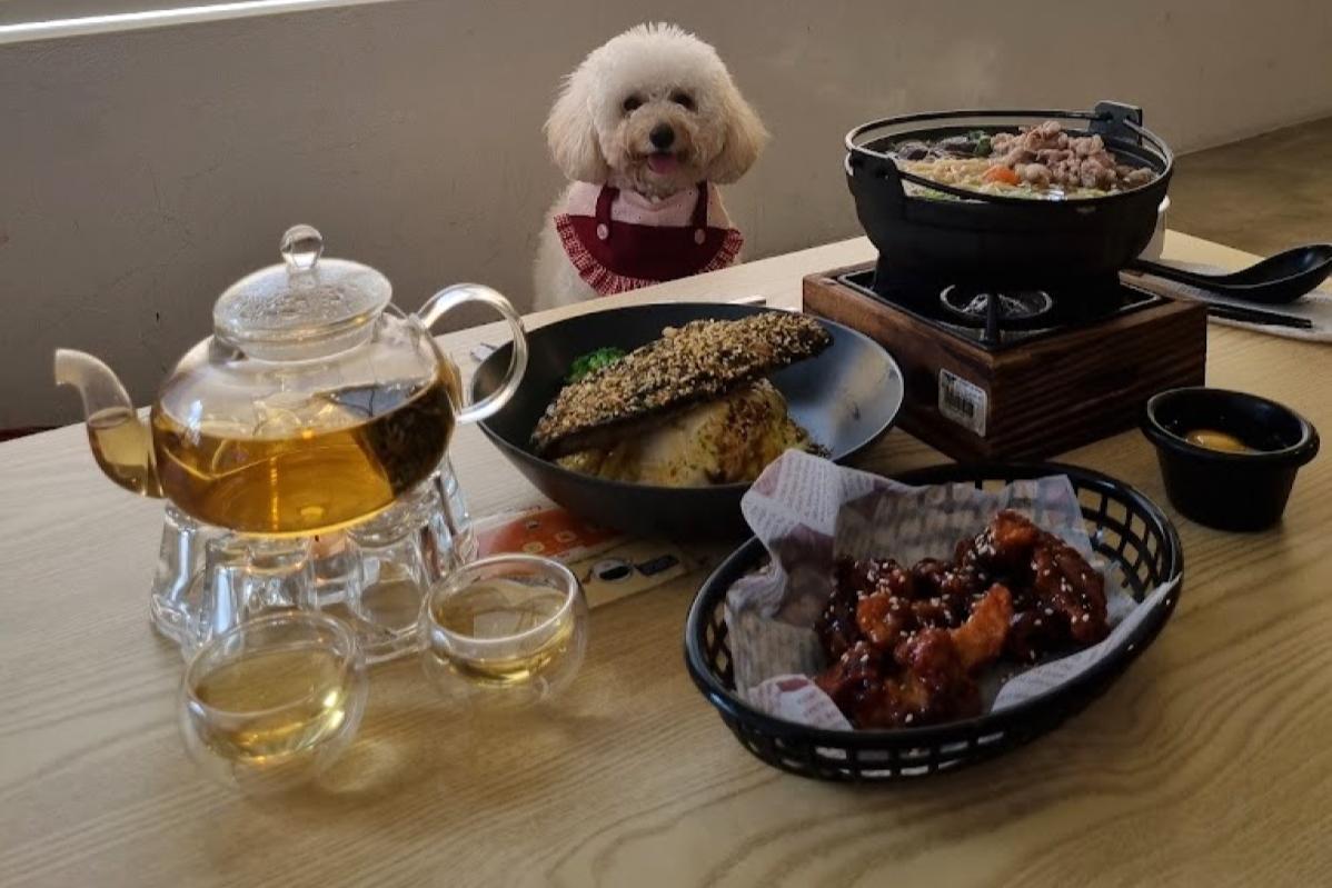 Top 20 Best Dog Cafes in Malaysia 2025 44 Fannys Cafe Paw Journey 1