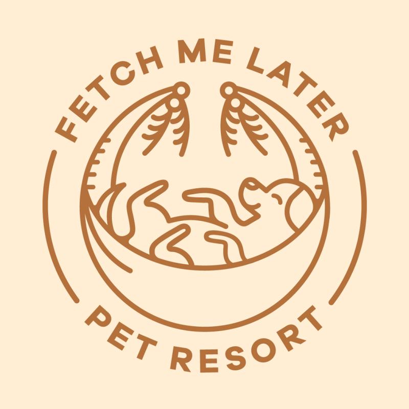 9 Pet Boarding Terbaik di KL & Selangor 2025 8 Fetch Me Later Pet Resort 3