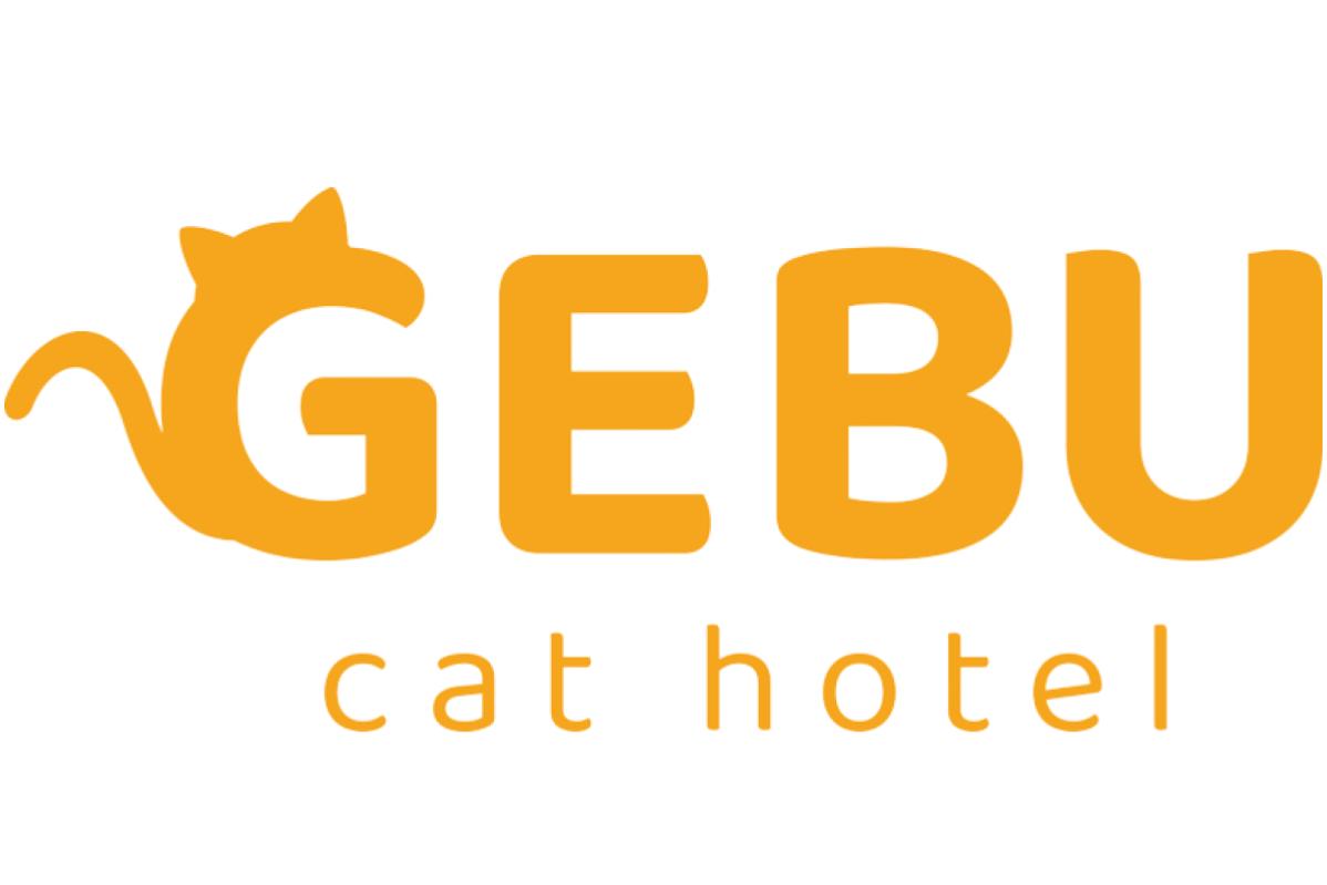 5 Pet Boarding Terbaik di Malaysia 2025 7 Gebu Cat Hotel