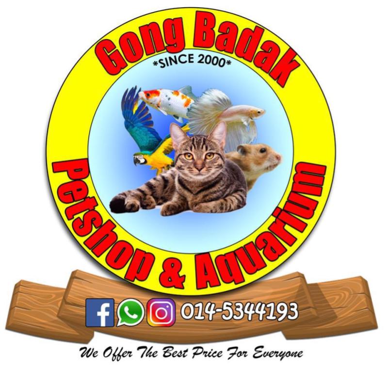 Top 10 Best Aquatic Pet Shops in Malaysia 2025 28 Gong Badak Petshop and Aquarium