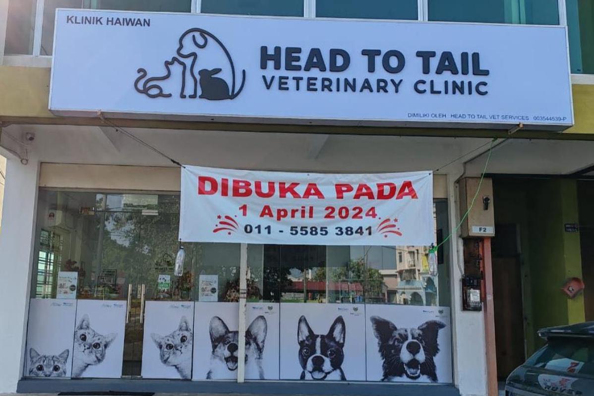 10 Klinik Haiwan Terbaik di Melaka 2025 22 Head To Tail Veterinary Clinic 1