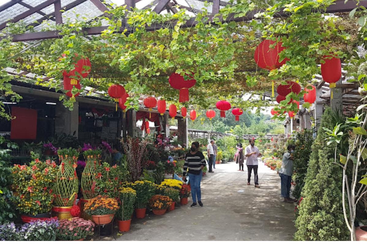 Top 10 Best Plant Nurseries in KL & Selangor 2025 5 Home Retreat Garden