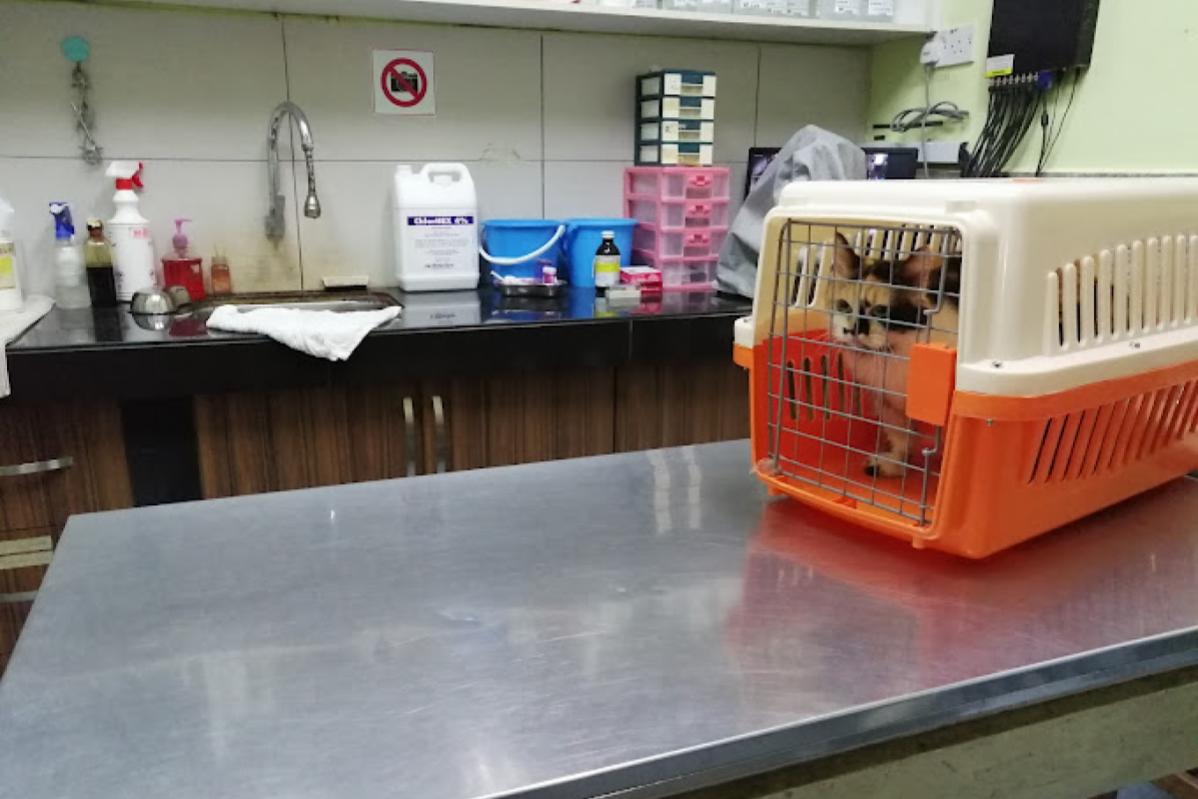 10 Klinik Haiwan Terbaik di Ipoh 2025 4 Ipoh Garden Animal Clinic 1 1
