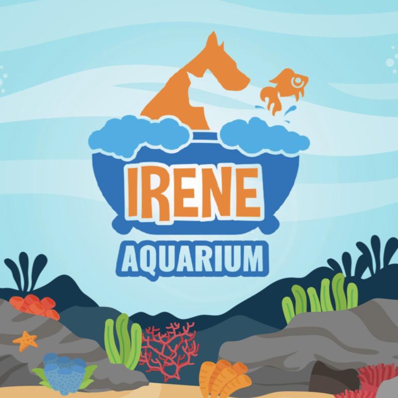 Top 10 Best Aquatic Pet Shops in Malaysia 2025 18 Irene Aquarium Pet Sdn. Bhd.