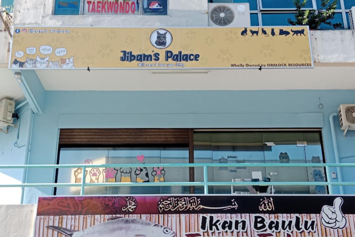 Top 10 Best Pet Boarding in Sabah 2025 12 Jibams Palace Cat Hotel Spa 2