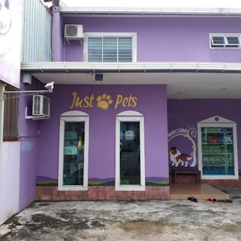 Top 10 Best Pet Boarding in Sarawak 2025 2 Just Pets